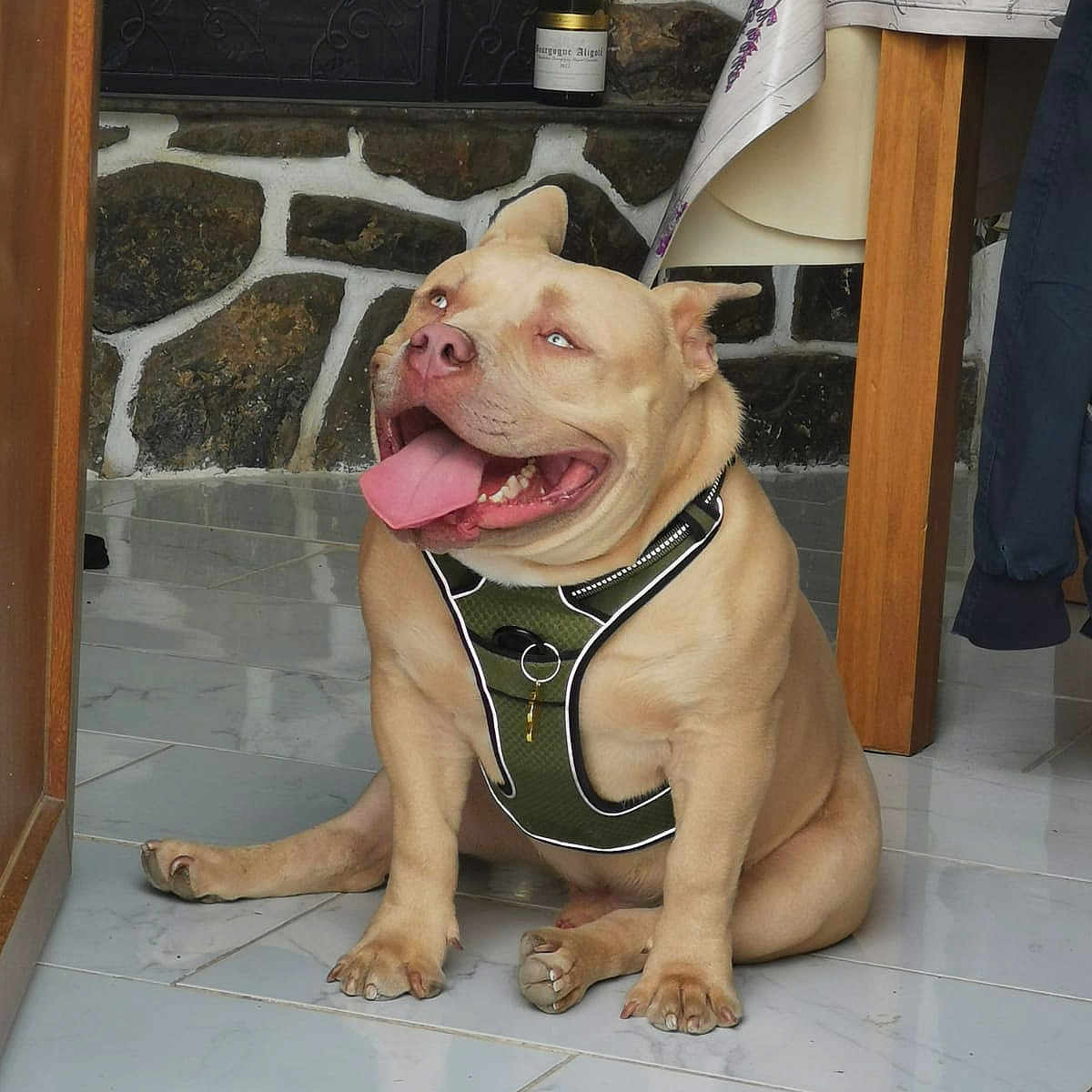 Népal