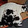 Nala