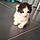 Bouba