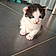 Bouba