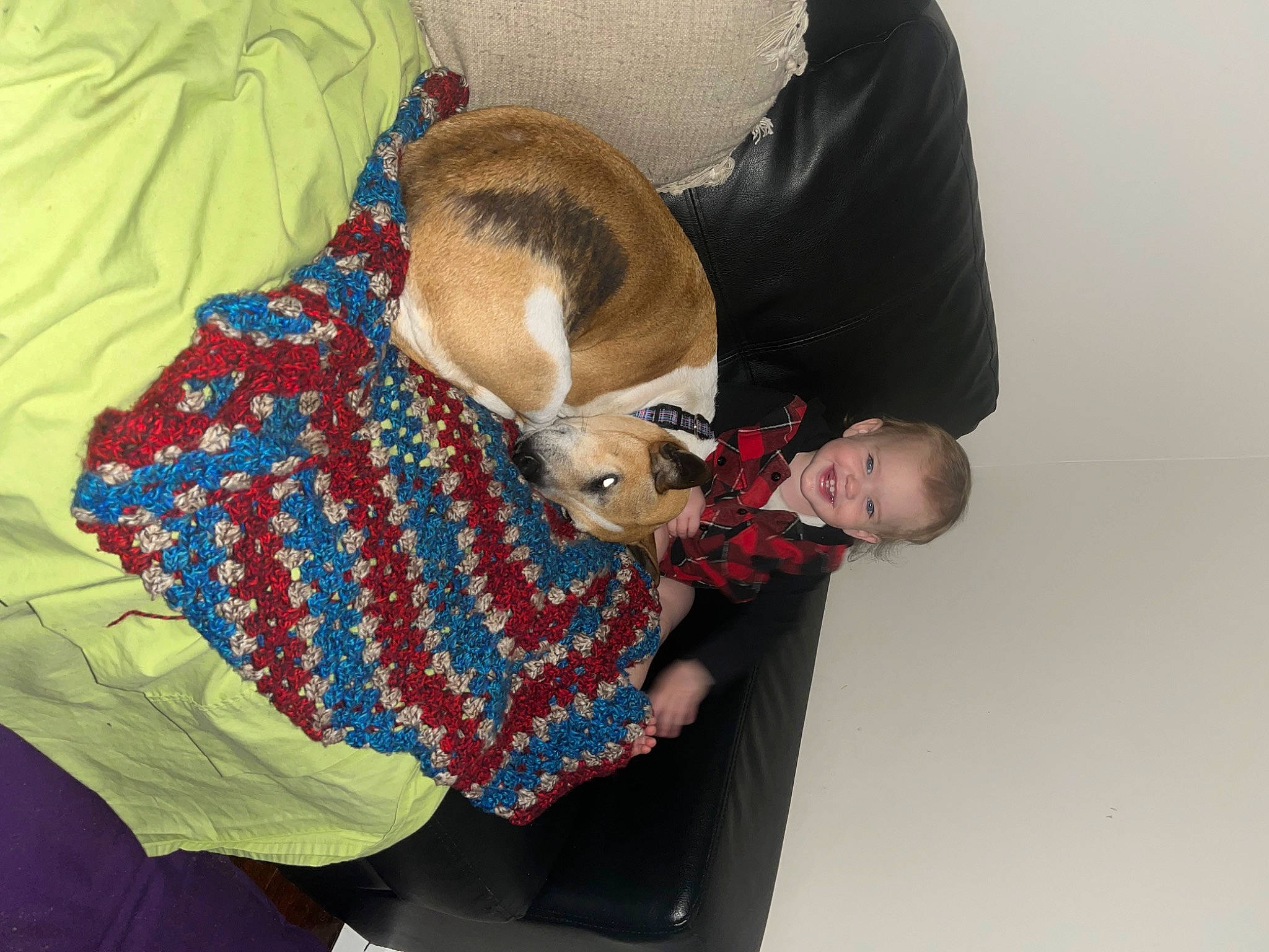 Ayla joined the competition — help win amazing prizes! canidae, child, comfort, companion_dog, fawn, felidae, fun, fur, joy, lap, linens, nap, pattern, person, plaid, room, sitting, sleeve, stuffed_toy, textile