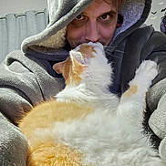 Buddy joined the competition — help win amazing prizes! cat, person, cuddling, orange_and_white, fluffy, pet, indoors, cozy, blanket, hooded_blanket, close_up, portrait, whiskers, paw, fur, affectionate, relaxed, home, curtain, wall_decor