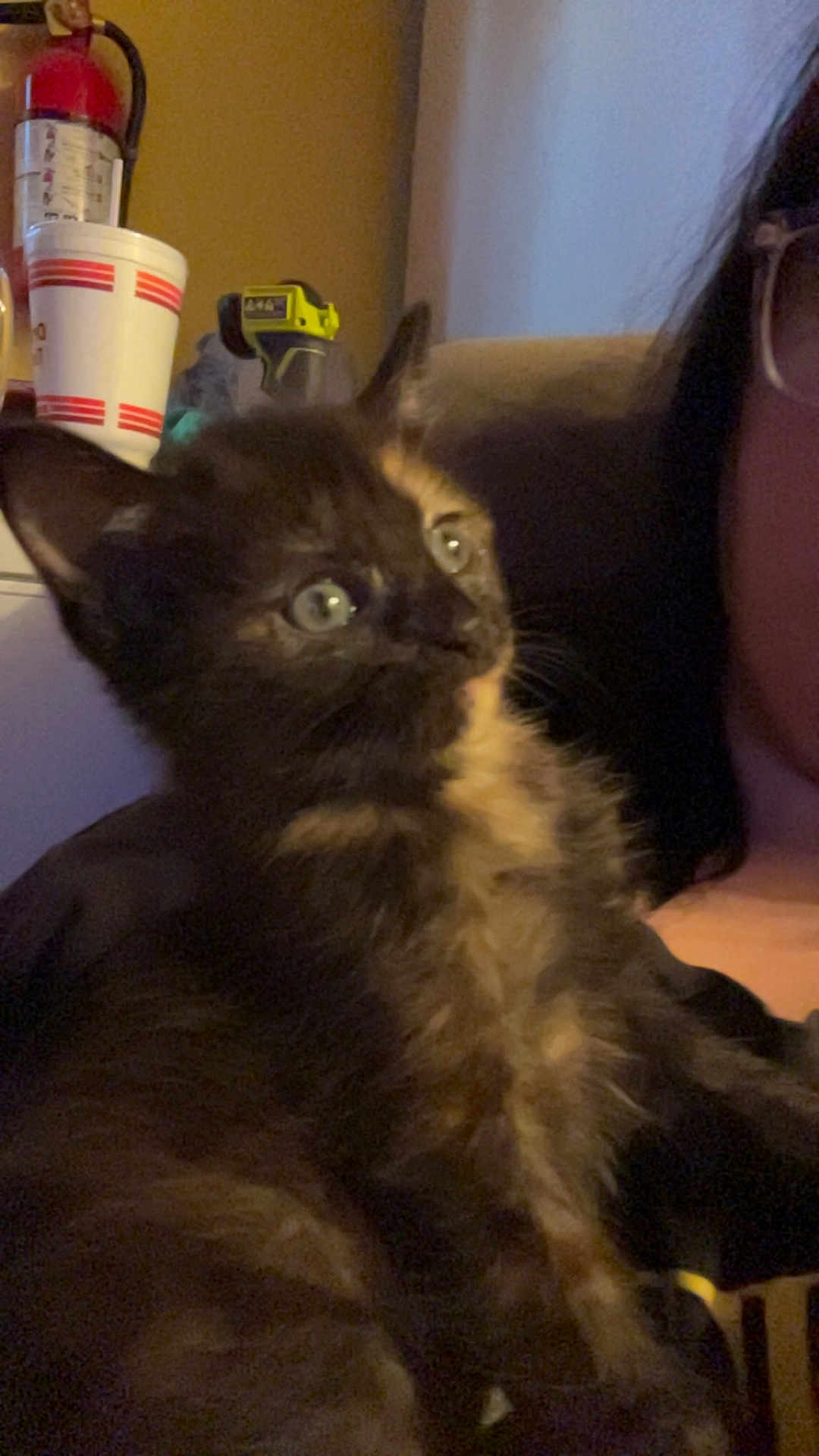 Nova