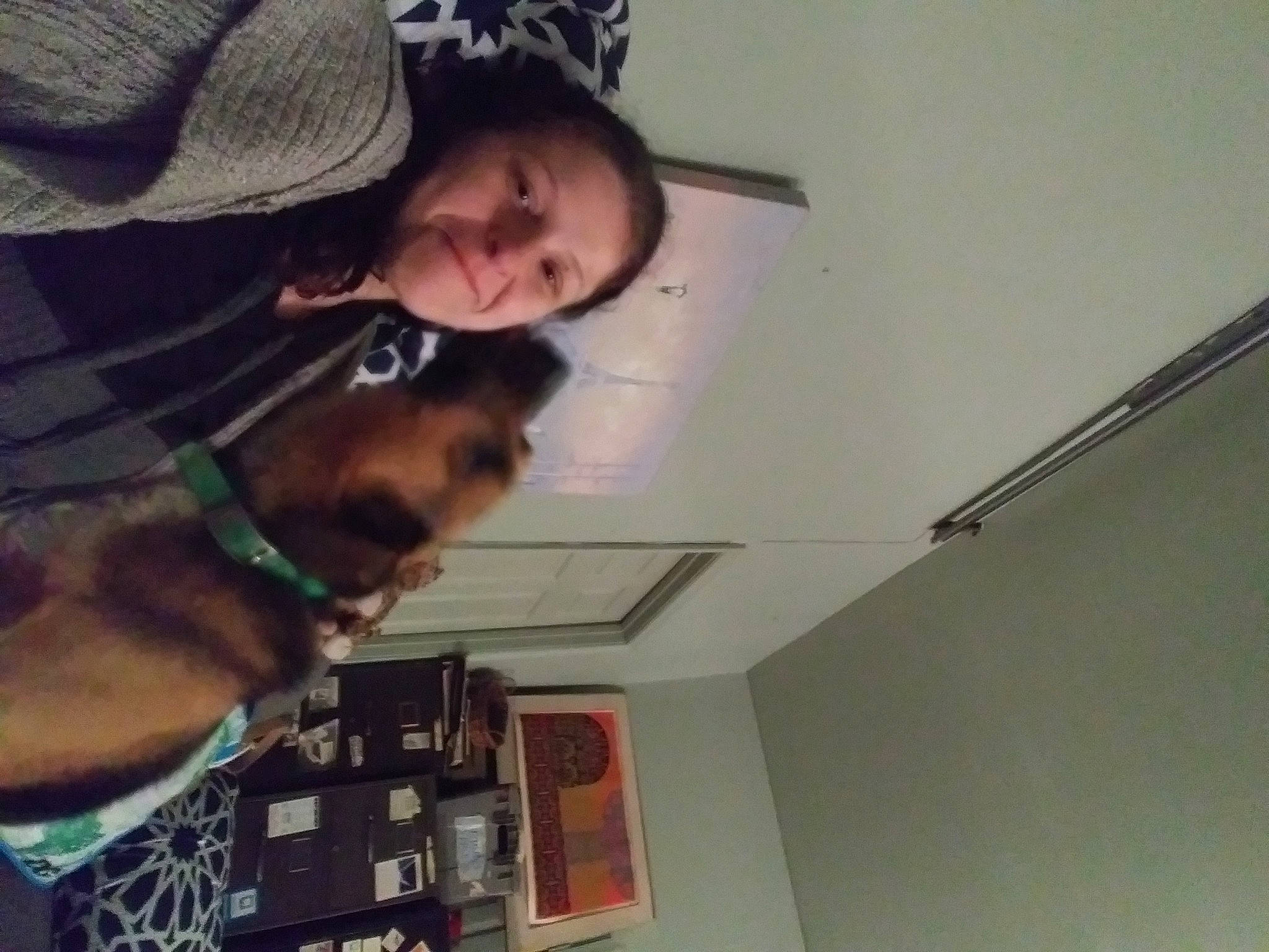 Finn is registered to the contest to win money with this photo: canidae, carnivore, cool, dog, dog_breed, photography, selfie, sporting_group, square