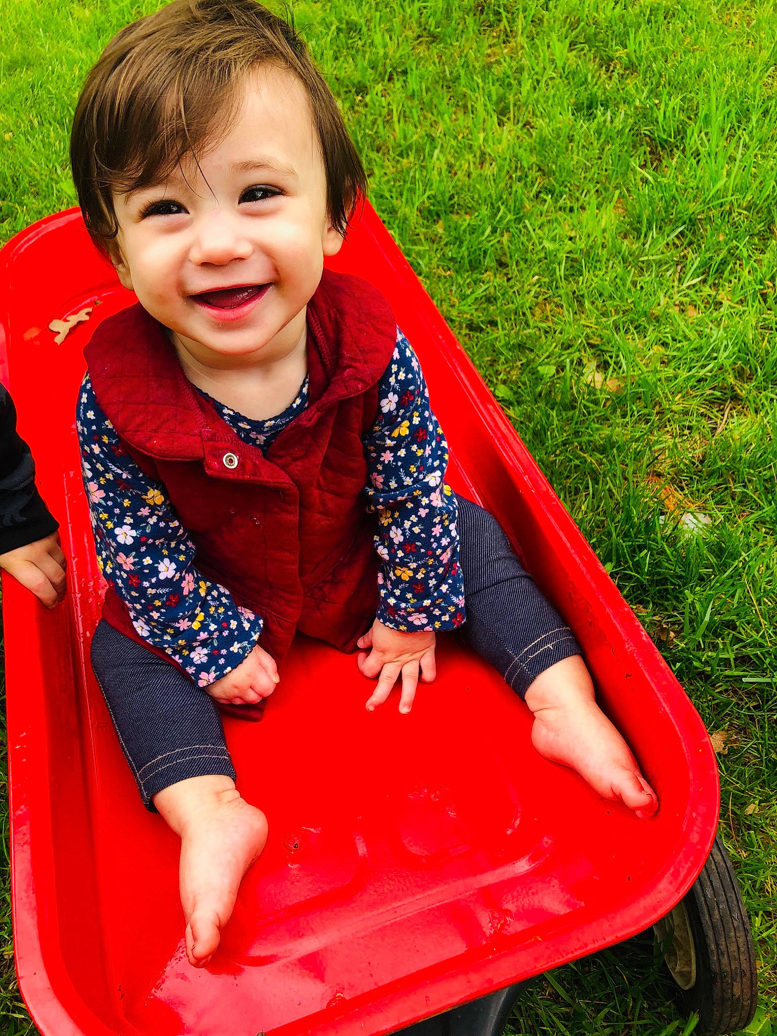 Emberlynn joined the competition — help win amazing prizes! baby, child, child_model, fun, grass, joy, leisure, outdoor_play_equipment, person, play, playground, public_space, recreation, red, sitting, smile, toddler
