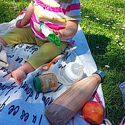 Juliette participe au concours pour gagner de l'argent avec cette photo : toddler, child, hat, striped_shirt, blanket, grass, daisies, snack_packet, baby_bottle, baby_food_jar, spoon, water_bottle, apple, outdoor, sunlight, picnic, sitting, curious, food, nature