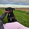 Ares participe au concours pour gagner de l'argent avec cette photo : dog, black_dog, grass, person, hand, panting, outdoor, field, sky, cloudy, leash, jacket, pants, pet, happy, nature, animal, companion, sitting, tongue_out