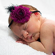 Alanna is registered to the contest to win money with this photo: newborn, baby, sleeping, headband, flower, purple, soft, blanket, closeup, peaceful, infant, skin, resting, cute, portrait, child, adorable, tender, sleep, cozy