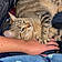 Titou