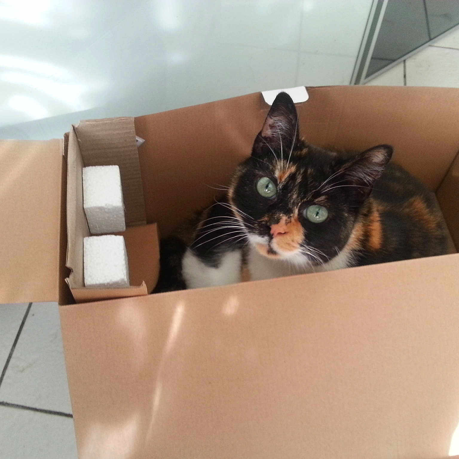 Vedette a rejoint le concours — aidez-le/la à gagner de superbes lots !