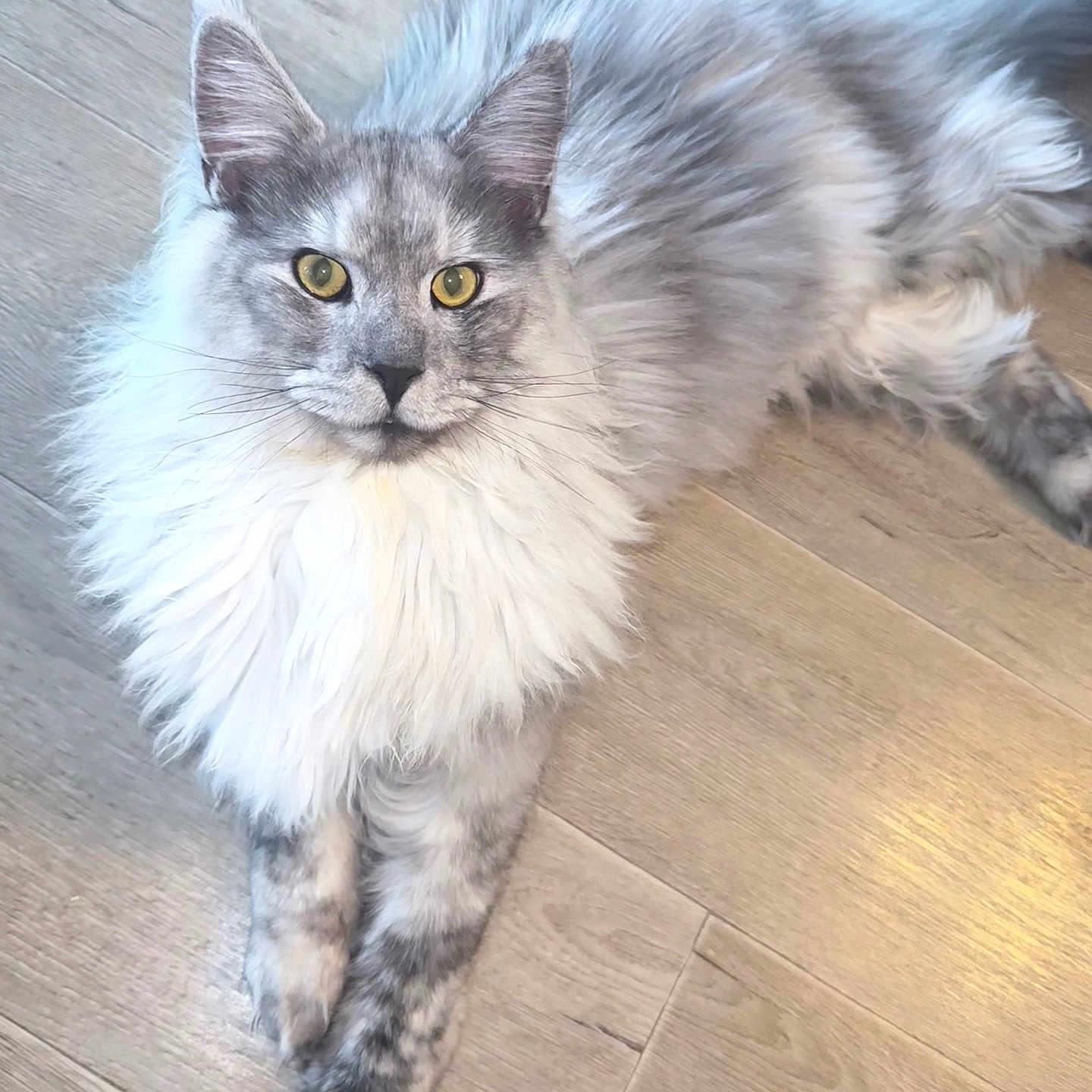 Winnie