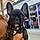 Bruno