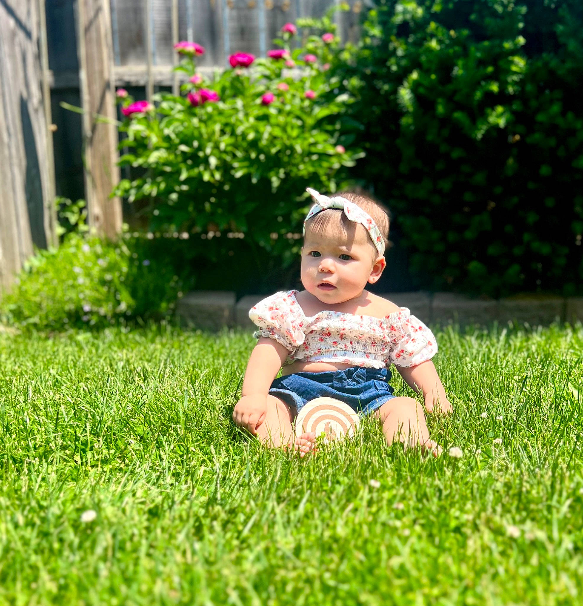 Camila joined the competition — help win amazing prizes! baby, baby_toddler_clothing, child, dress, flower, garden, grass, grass_family, grassland, groundcover, happy, lawn, leisure, people_in_nature, person, plant, playing_with_kids, recreation, sitting, toddler