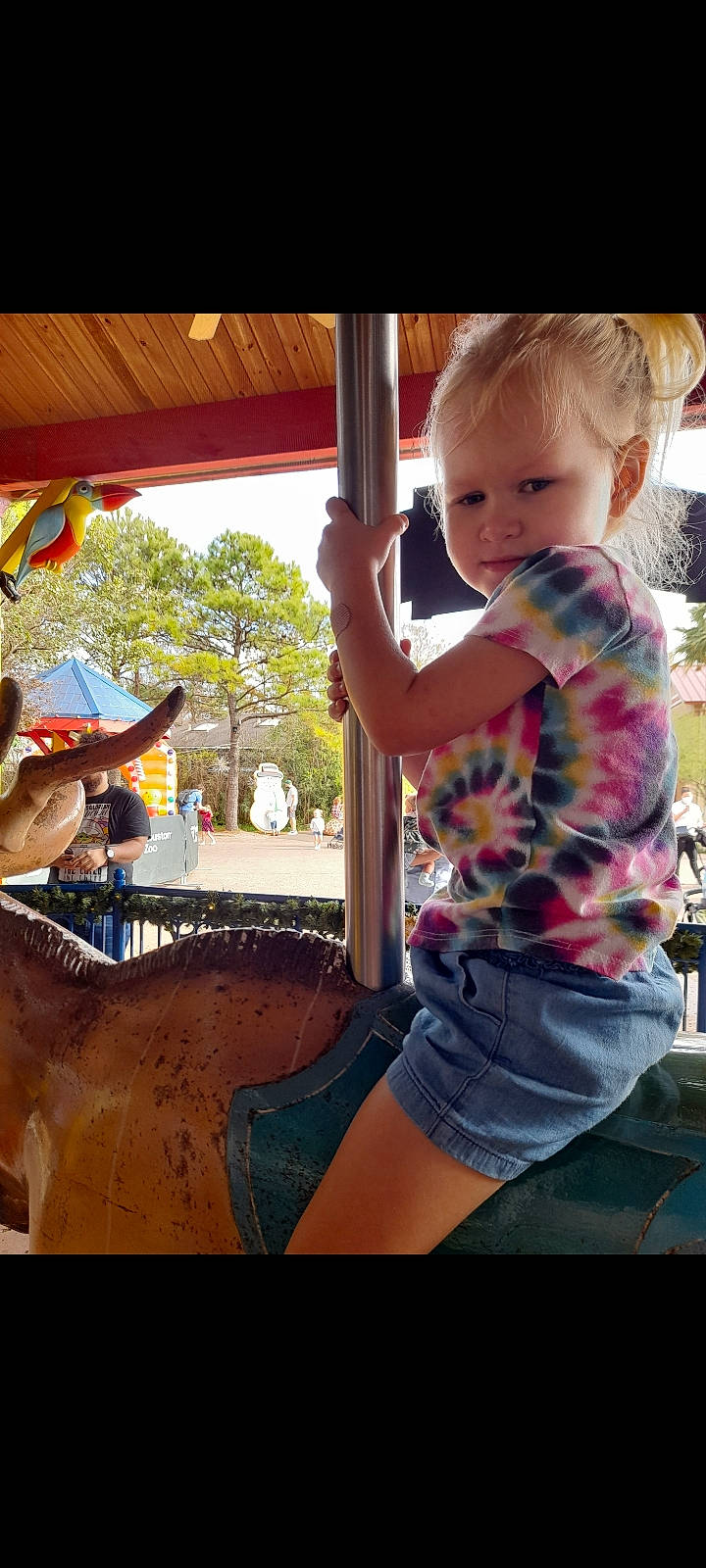 Amaya joined the competition — help win amazing prizes! baby, child, event, fun, happy, horse_tack, landscape, leisure, outdoor_play_equipment, pack_animal, person, play, playground, recreation, shorts, sitting, t_shirt, toddler, tree, vacation