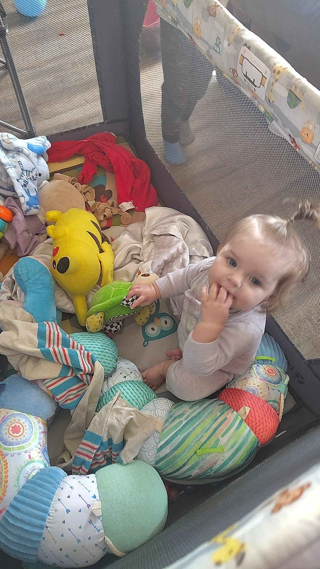 Laila joined the competition — help win amazing prizes! baby, child, playpen, stuffed_toys, blanket, plush_toy, toy_turtle, toy_pikachu, mesh, sitting, indoor, child_playing, hand_in_mouth, colorful, soft_toys, person, infant, cute, casual_clothing, floor