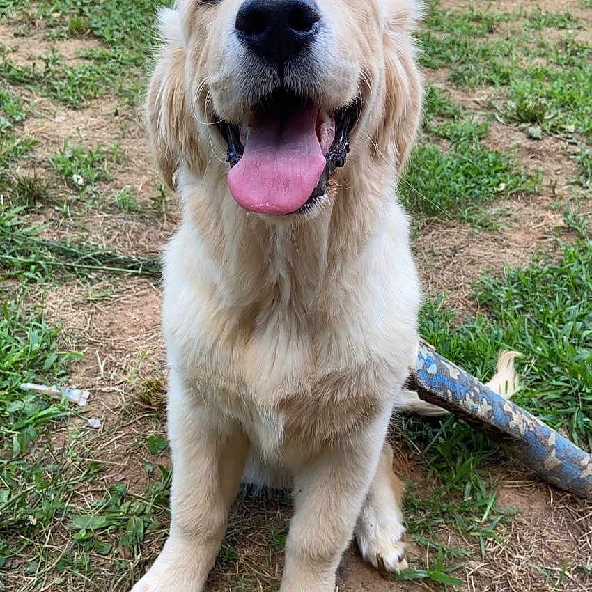 Sophie