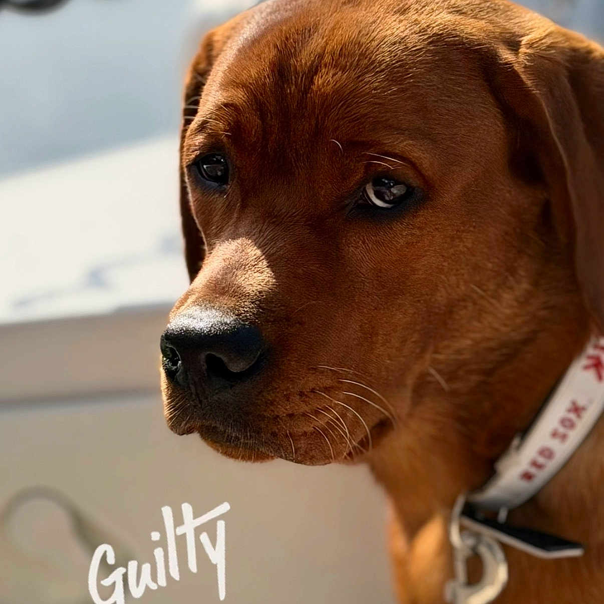 Quincy