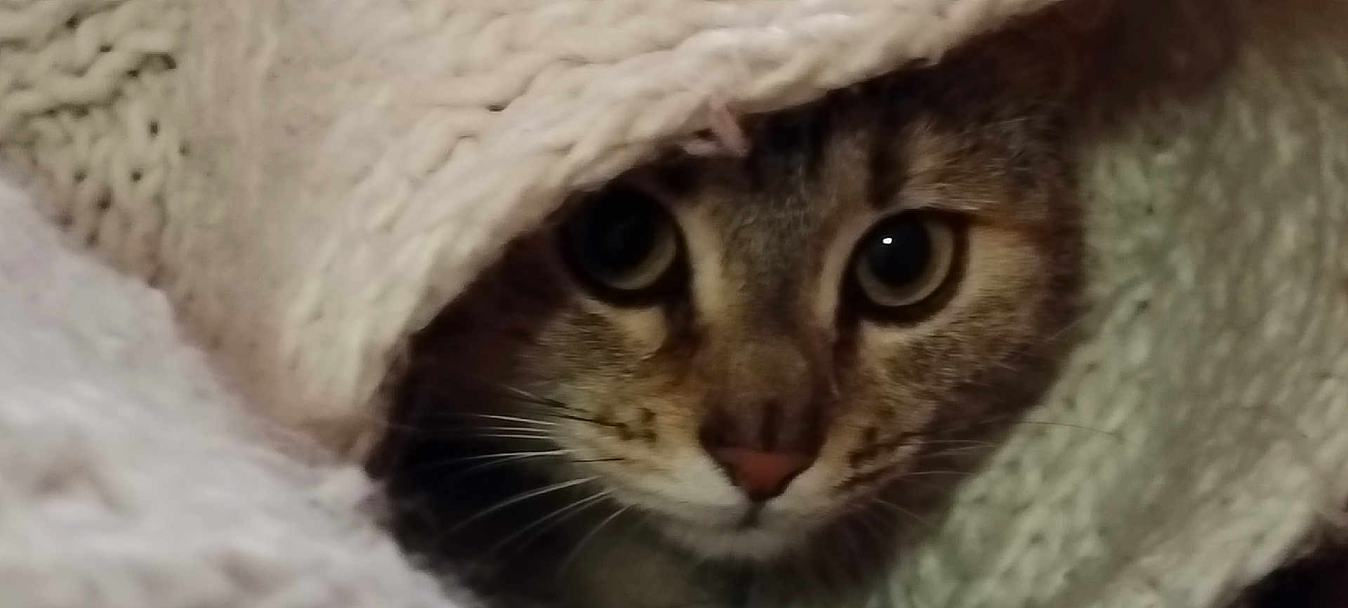 Mana
