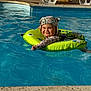 baby, child, pool, water, float, inflatable_ring, swimming, smile, hat, sunhat, outdoor, sunlight, blue_water, happy, summer, fun, cute, playful, infant, safety