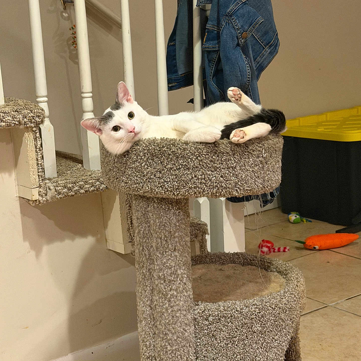 Lumi