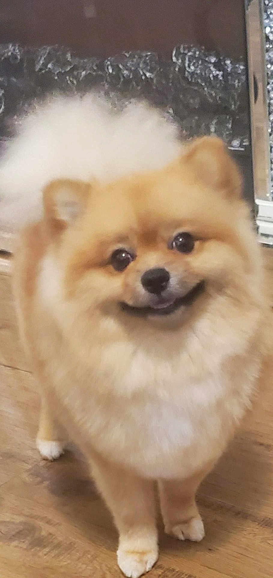 Tobby