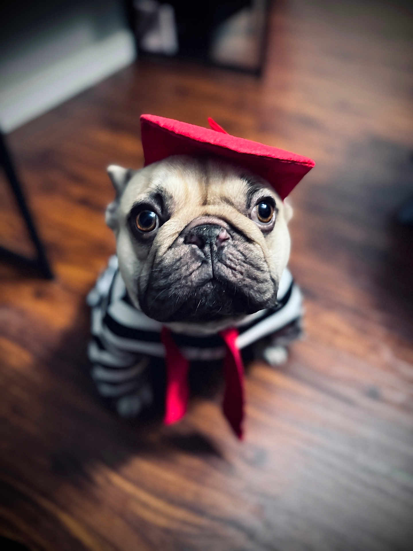 Panchito