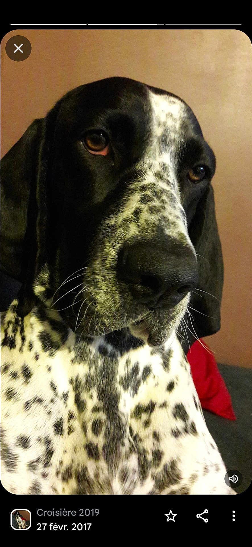 Lena