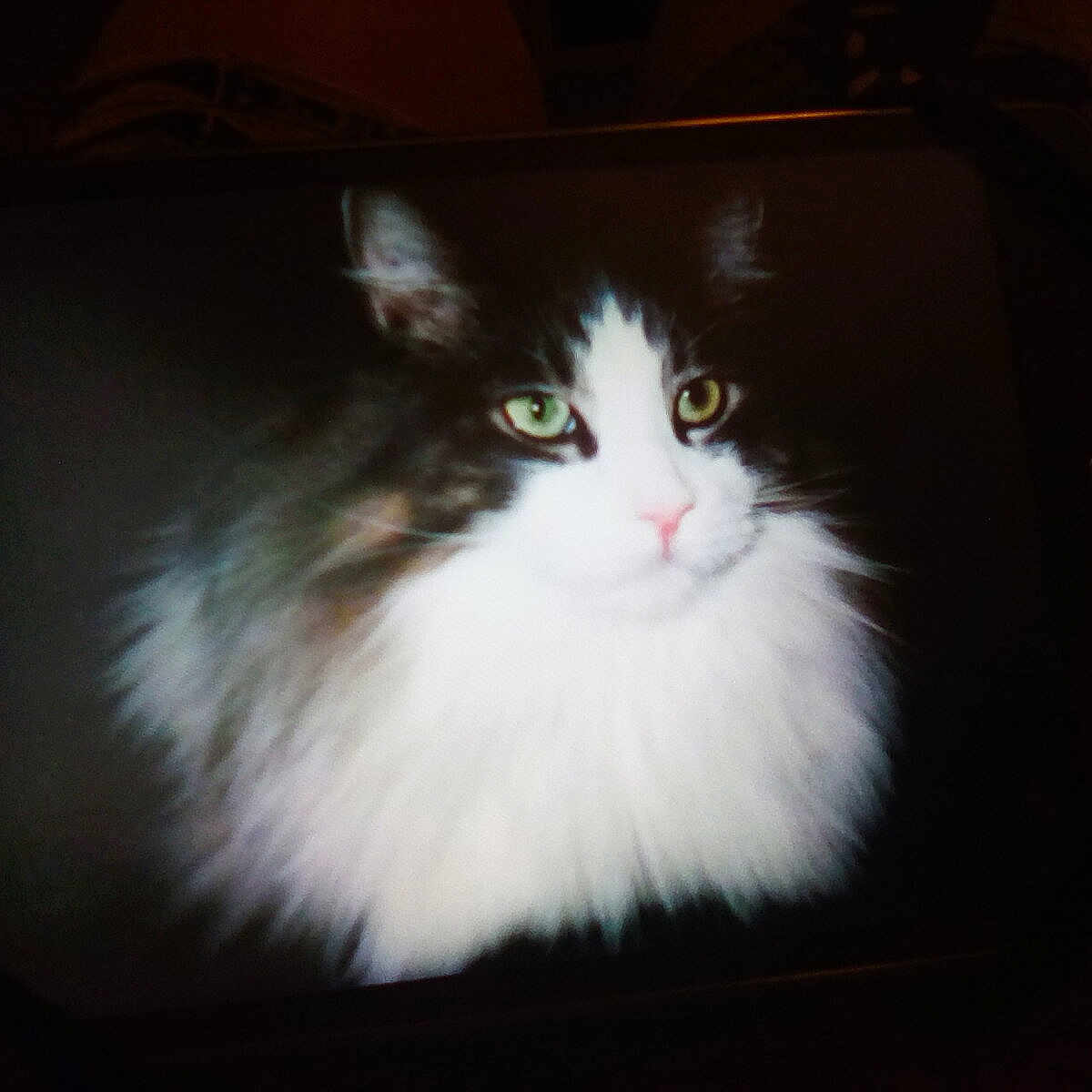 Samson