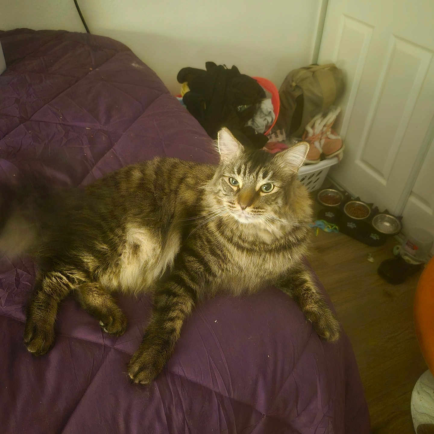 Sweet Boy