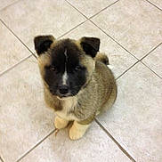 Cojo is registered to the contest to win money with this photo: