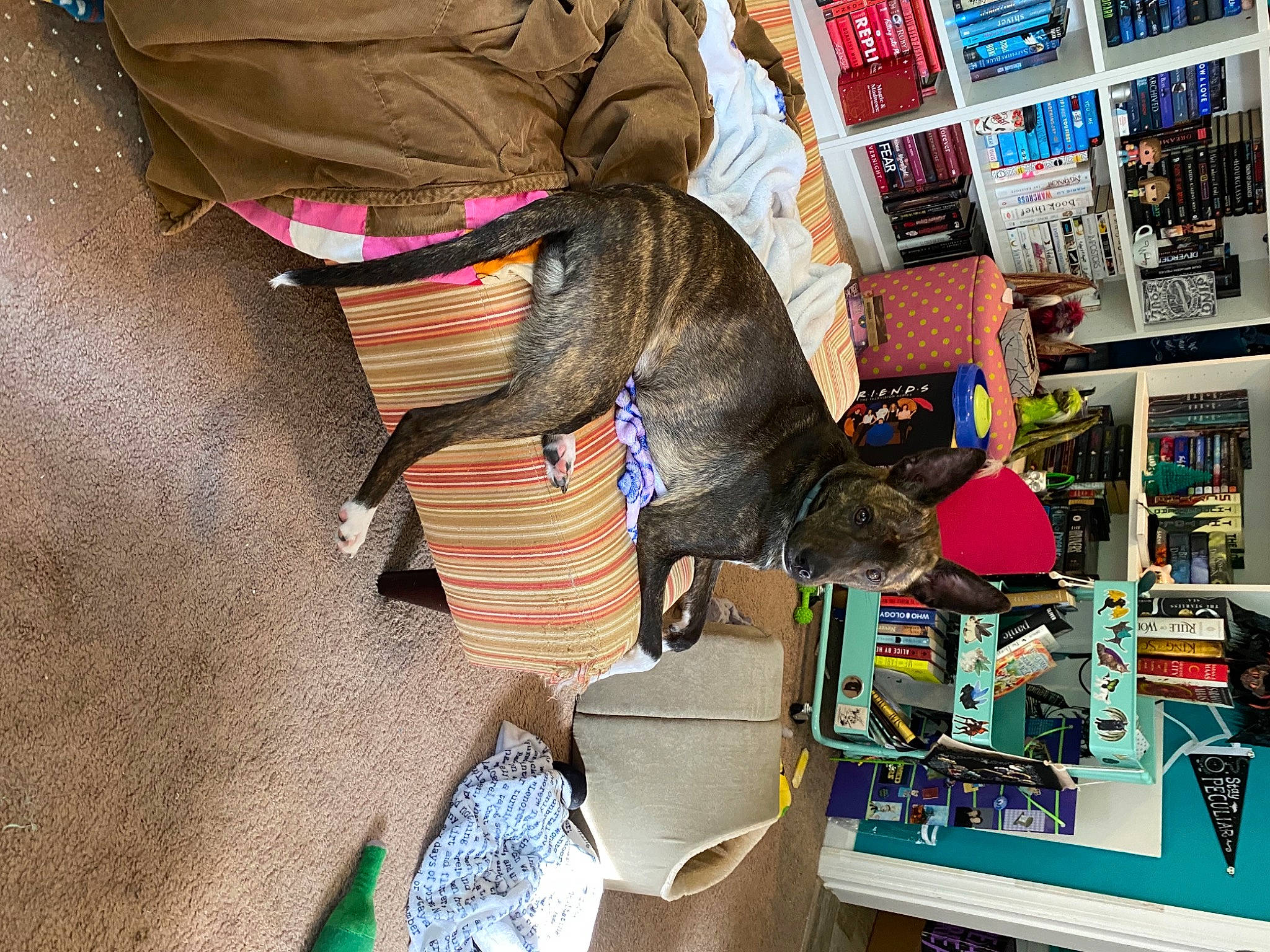 Topanga is registered to the contest to win money with this photo: art, bag, city, customer, eyewear, fashion_accessory, fashion_design, hat, human_leg, market, publication, retail, room, selling, shopping, sleeve, sportswear, street_fashion, t_shirt, thigh