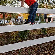 Liam joined the competition — help win amazing prizes! child, boy, fence, climbing, orange_shirt, jeans, sneakers, outdoor, autumn, fall_foliage, trees, leaves, park, playful, smiling, daylight, nature, grass, side_view, casual_clothing