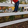 child, boy, fence, climbing, orange_shirt, jeans, sneakers, outdoor, autumn, fall_foliage, trees, leaves, park, playful, smiling, daylight, nature, grass, side_view, casual_clothing