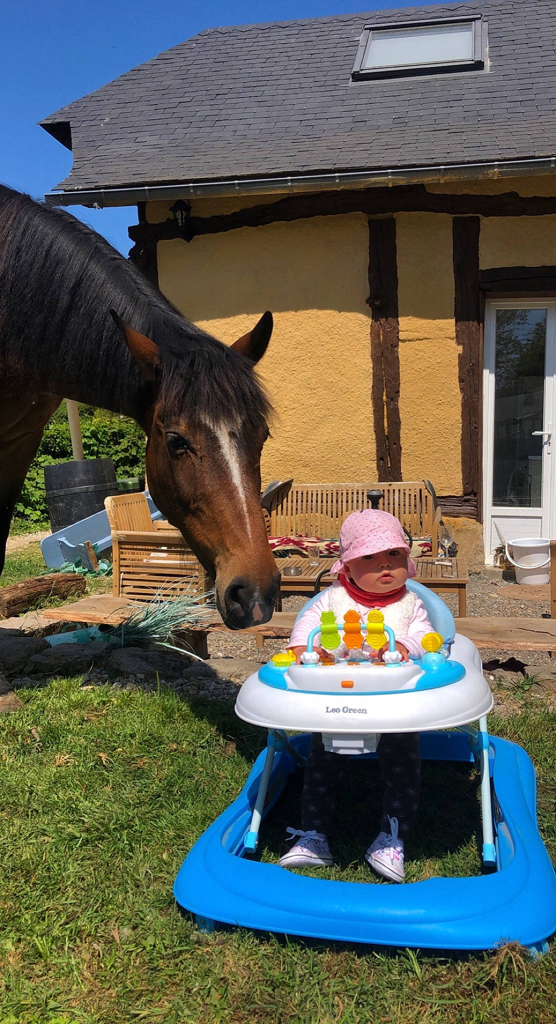 Chénoa a rejoint le concours — aidez-le/la à gagner de superbes lots ! baby, bridle, fun, grass, green, head, headwear, horse, horse_supplies, horse_tack, landscape, leisure, liver, mane, pack_animal, people, person, sorrel, summer, toddler