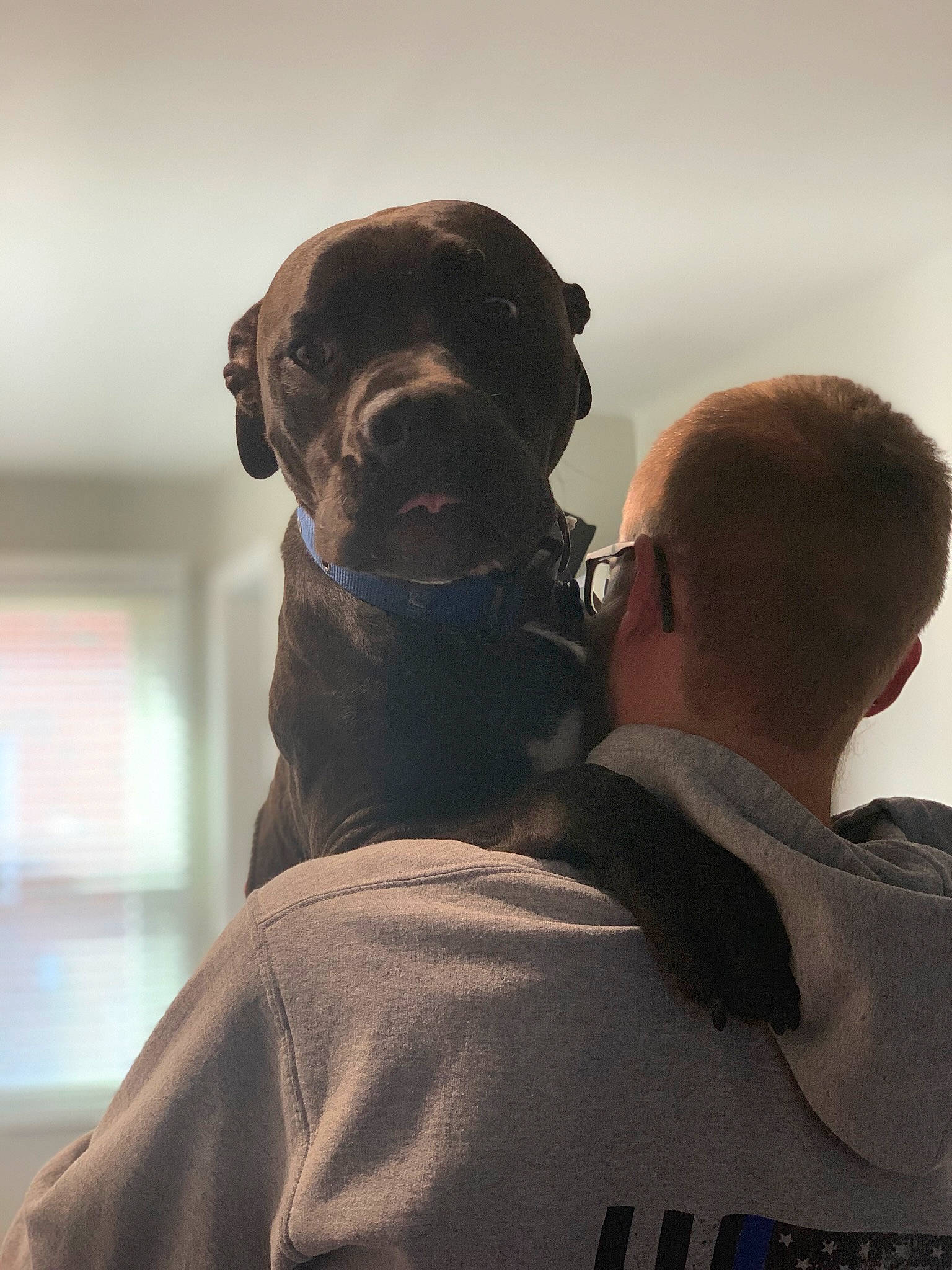 Cato is registered to the contest to win money with this photo: baseball_cap, carnivore, companion_dog, dog, dog_breed, eyewear, fur, gesture, guard_dog, hunting_dog, non_sporting_group, outerwear, personal_protective_equipment, sleeve, sporting_group, t_shirt, working_animal