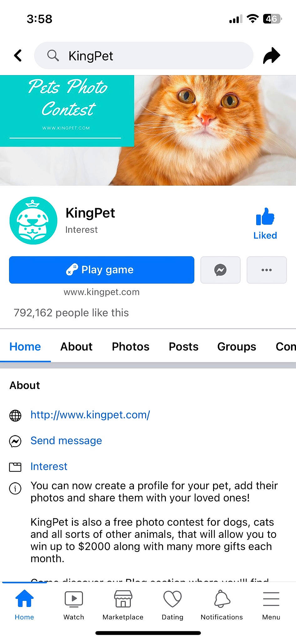 Koda is registered to the contest to win money with this photo: advertising, brand, carnivore, cat, felidae, font, fur, gesture, logo, media, multimedia, online_advertising, paw, product, screenshot, small_to_medium_sized_cats, web_page, whiskers