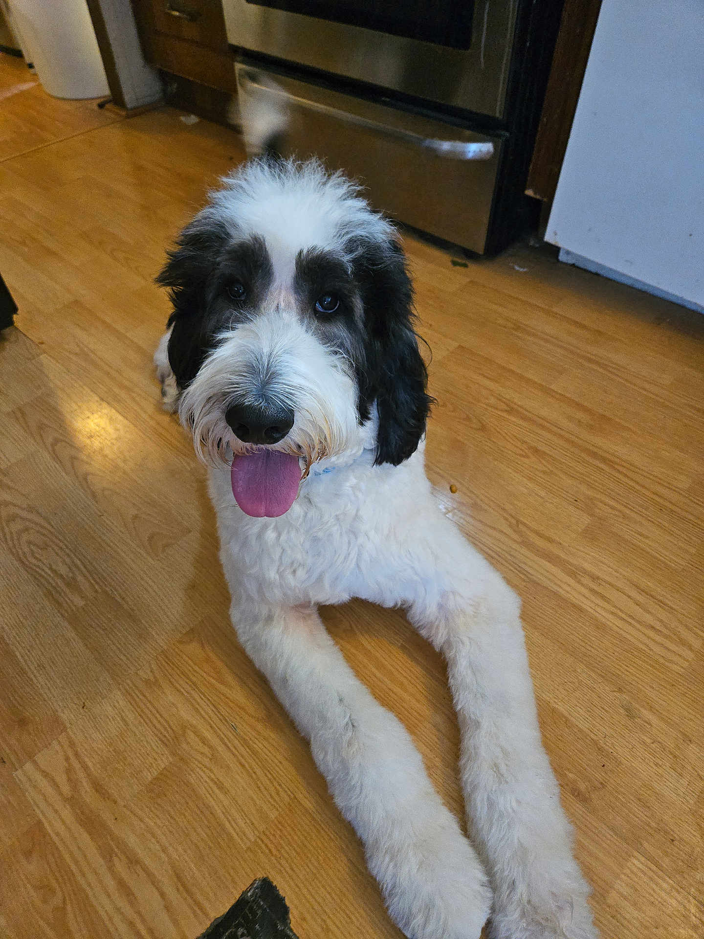 Milo