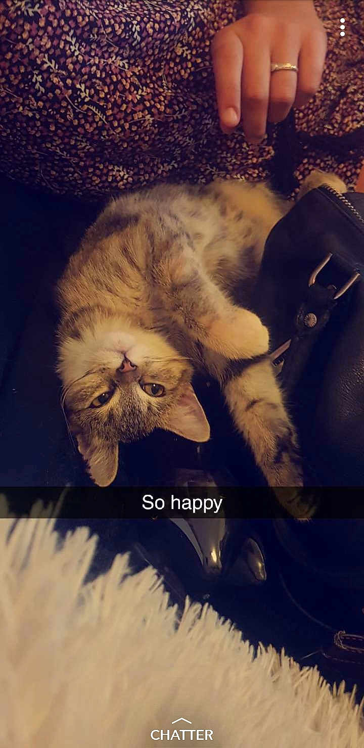 Kali
