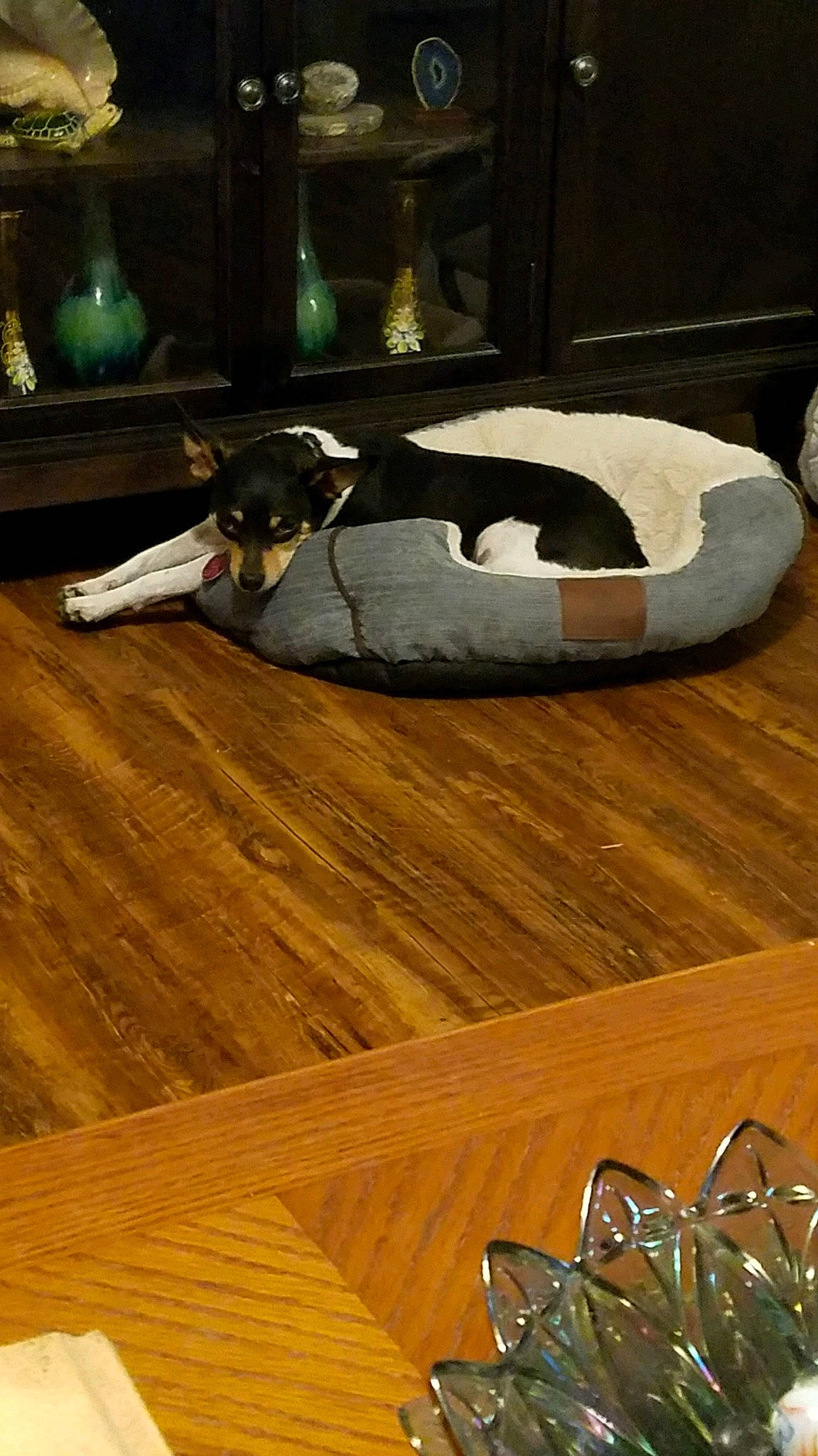 Dragon Booger is registered to the contest to win money with this photo: floor, flooring, furniture, hardwood, interior_design, laminate_flooring, room, table, wood, wood_flooring