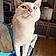 Alfonse