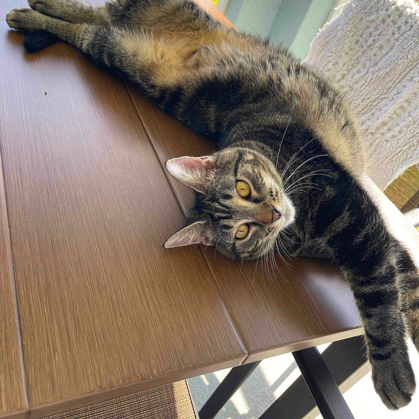 Penelope