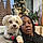 Tasha T.