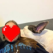 Stéphane Scremin a rejoint le concours — aidez-le/la à gagner de superbes lots ! dog, person, couch, indoor, affection, love, pet, casual, relaxing, sweatshirt, textile, wall, hair, ear, closeup, friendship, comfort, nuzzle, resting, home