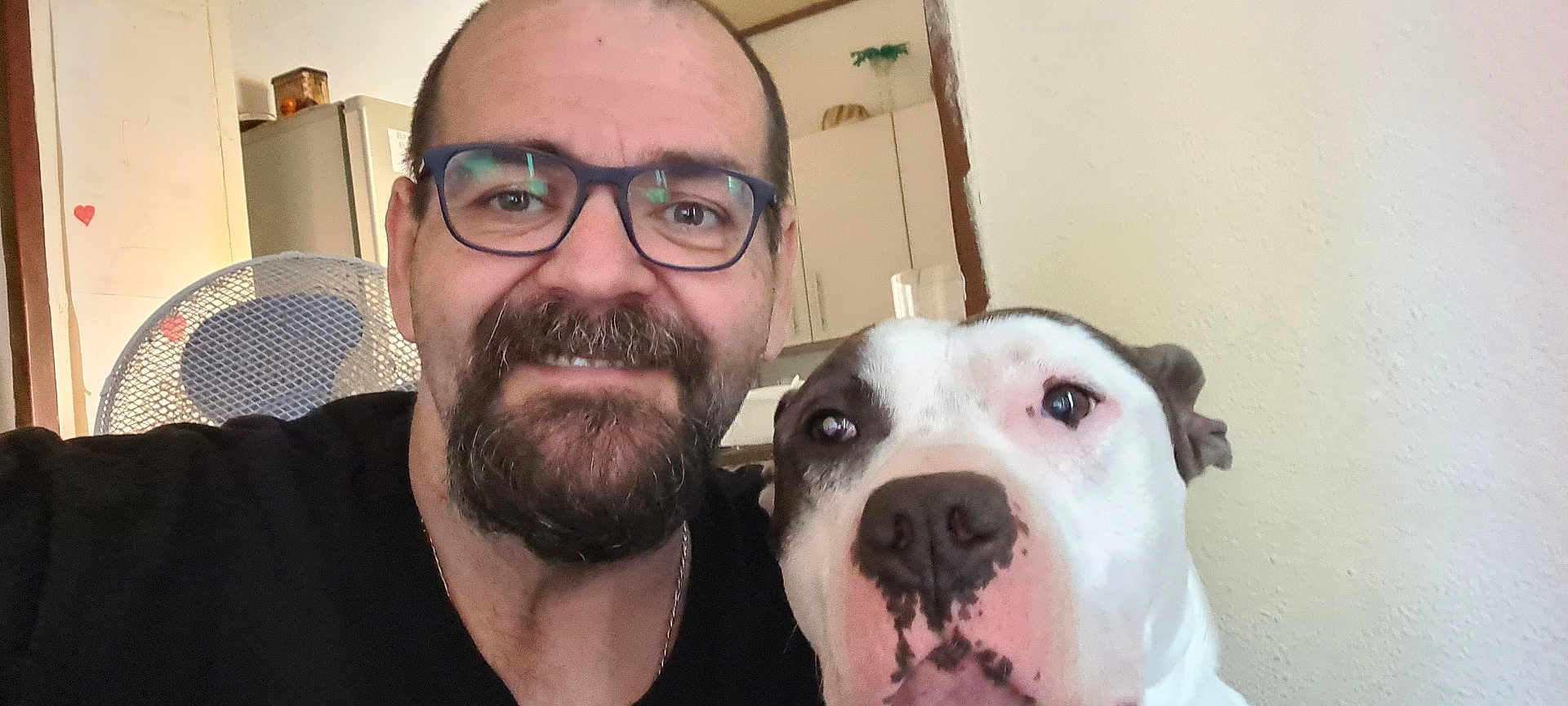 Stéphane Scremin participe au concours pour gagner de l'argent avec cette photo : man, dog, glasses, beard, smile, indoor, fan, kitchen, white_dog, black_spots, portrait, close_up, pet, companionship, casual, human, animal, friendship, happy, home