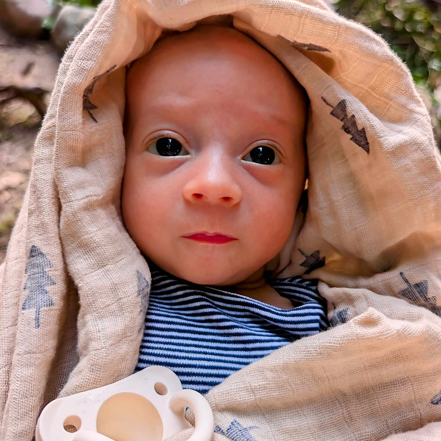 Kaius is registered to the contest to win money with this photo: baby, blanket, bonnet, cap, clothing, face, hat, head, homedecor, hood, hoodie, knitwear, linen, newborn, person, photography, portrait, sweater, sweatshirt, towel