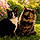Felix And Cali