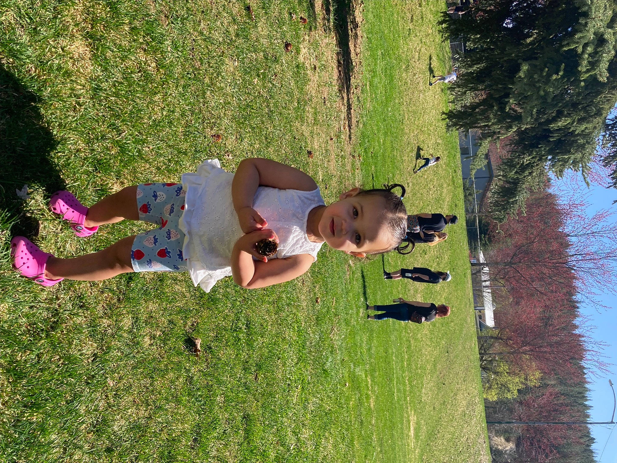 Jasie joined the competition — help win amazing prizes! fun, grass, grass_family, grassland, happy, landscape, lawn, leisure, pasture, people_in_nature, person, plant, recreation, shadow, shrub, sky, toddler, tree