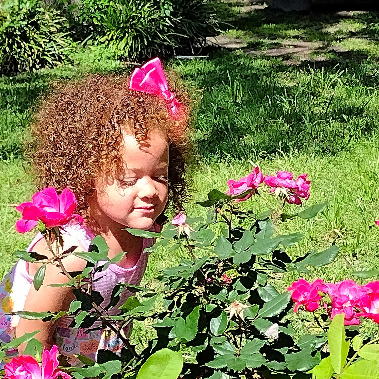 De'Winter joined the competition — help win amazing prizes! child, curly_hair, cute, flowers, garden, girl, greenery, happy, leaves, nature, outdoor, pink, pink_bow, plants, portrait, roses, smelling, summer, sunlight, young