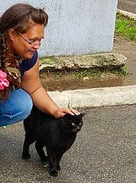 Papito a rejoint le concours — aidez-le/la à gagner de superbes lots ! black_cat, bombay, carnivore, cat, domestic_short_haired_cat, felidae, fur, grass, havana_brown, leg, long_hair, person, schipperke, small_to_medium_sized_cats, tail, walking