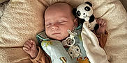 Elio participe au concours pour gagner de l'argent avec cette photo : baby, infant, sleeping, pacifier, plush_panda, blanket, bassinet, mesh_side, sleep_sack, cozy, newborn, swaddle, peaceful, pajama, hand, face, bedding, nursery, soft_toy, cuddly